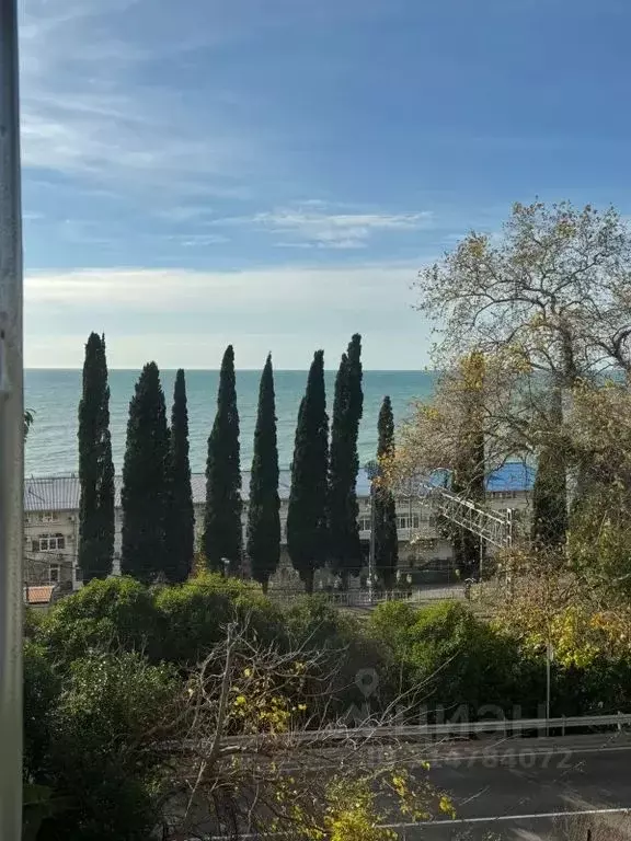 Комната Краснодарский край, Сочи ул. Декабристов, 83 - Фото 1
