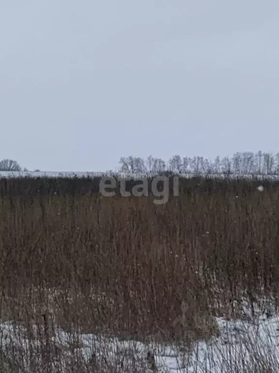 Участок в Белгородская область, Белгородский район, Головинское с/пос, ... - Фото 1