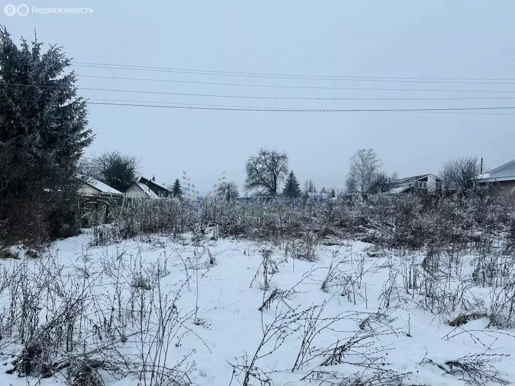 Участок в Нижегородская область, Богородский муниципальный округ, ... - Фото 0