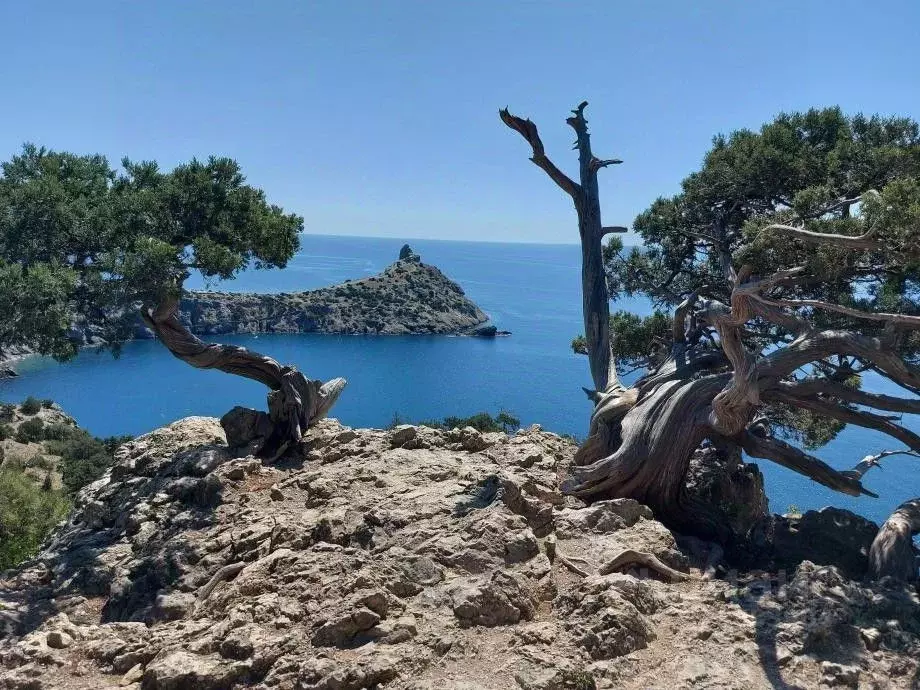 Участок в Крым, Феодосия муниципальный округ, с. Солнечное ул. ... - Фото 1