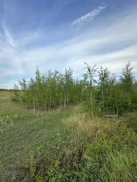 Участок в Саха (Якутия), Якутск городской округ, с. Маган ул. ДАРС ... - Фото 2