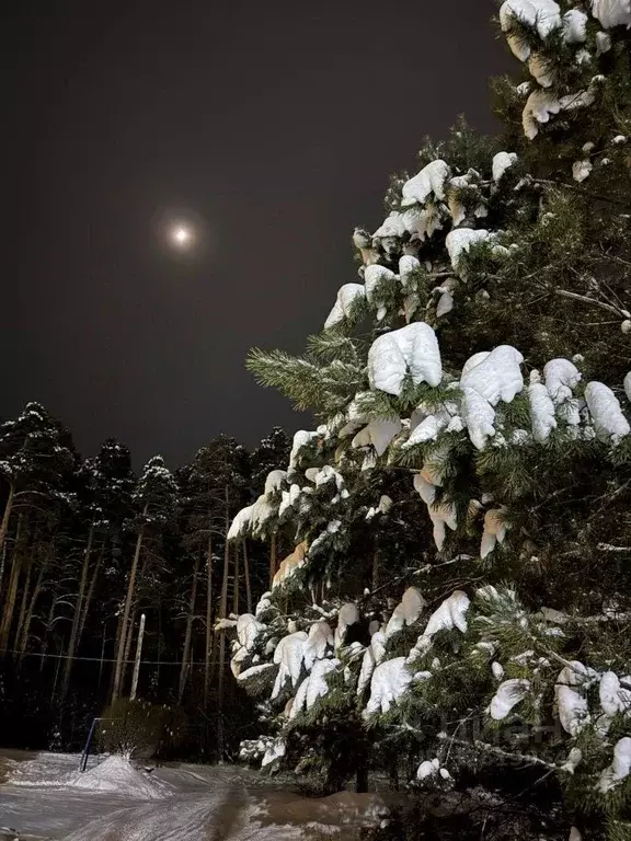 Участок в Свердловская область, Сысертский муниципальный округ, с. ... - Фото 1