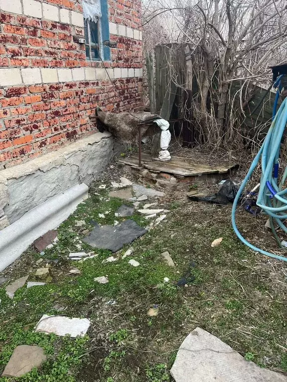 Дом 38,5 м на участке 10 сот. - Фото 1