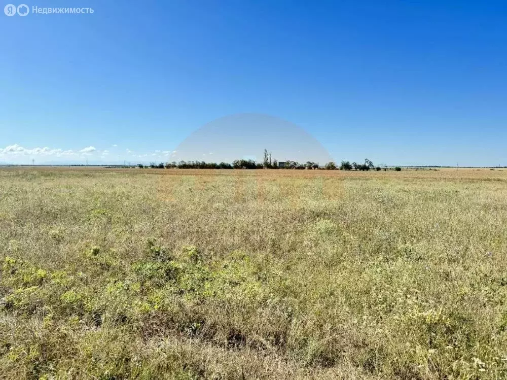 Участок в Сакский район, село Фрунзе (10 м) - Фото 1