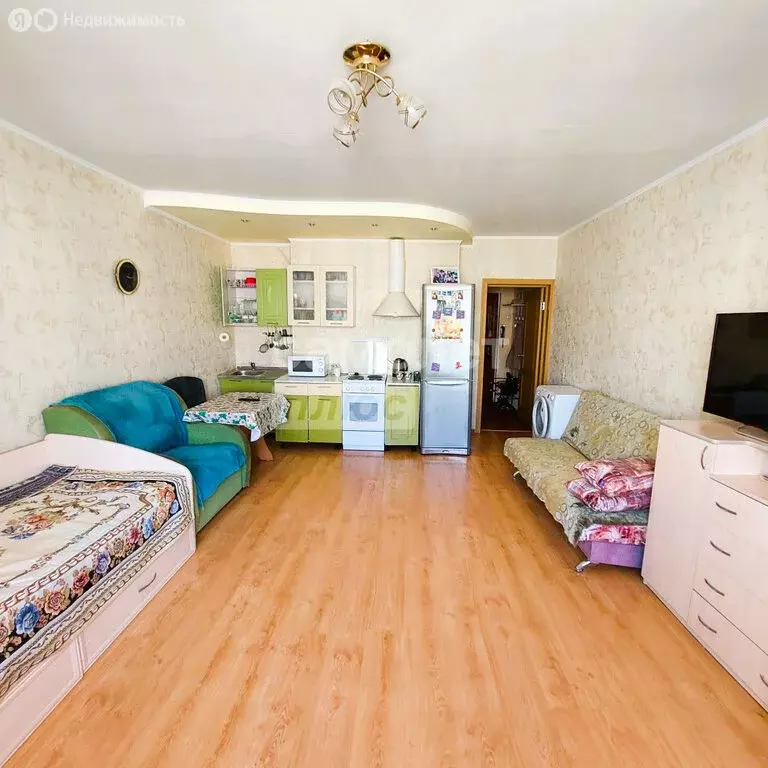 Квартира-студия: Новосибирск, улица В. Высоцкого, 41/5 (32.5 м) - Фото 1