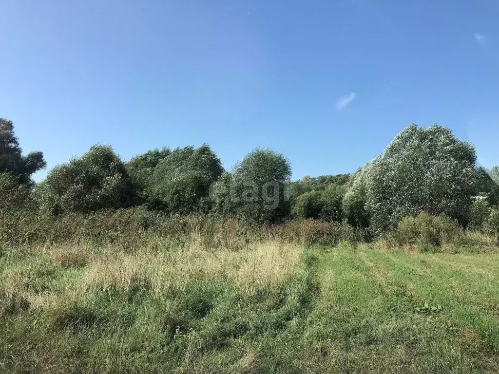 Участок в Белгородская область, Белгородский район, Тавровское с/пос, ... - Фото 0