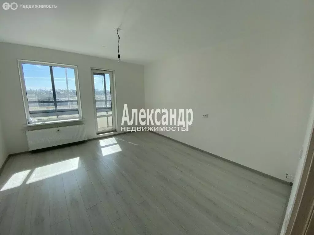 Квартира-студия: Санкт-Петербург, проспект Ветеранов, 183 (24 м) - Фото 2