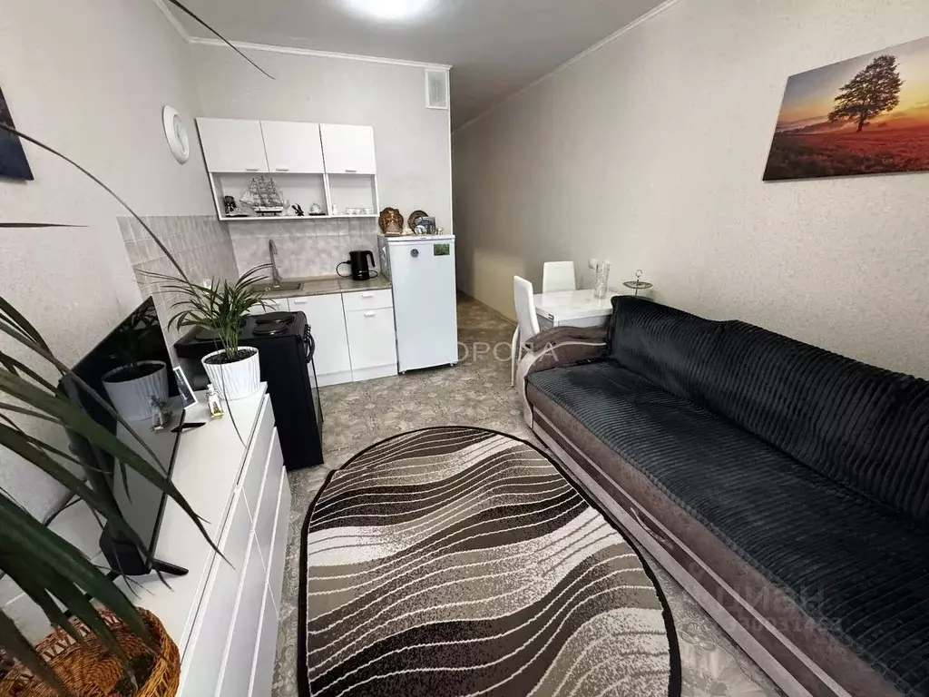 Студия Новосибирская область, Новосибирск ул. Забалуева, 92 (26.0 м) - Фото 2