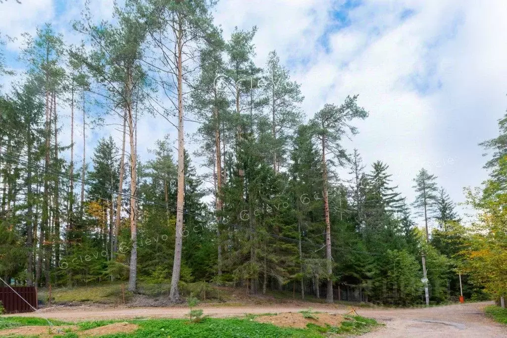 Участок в Ленинградская область, Выборгский район, Первомайское с/пос, ... - Фото 2