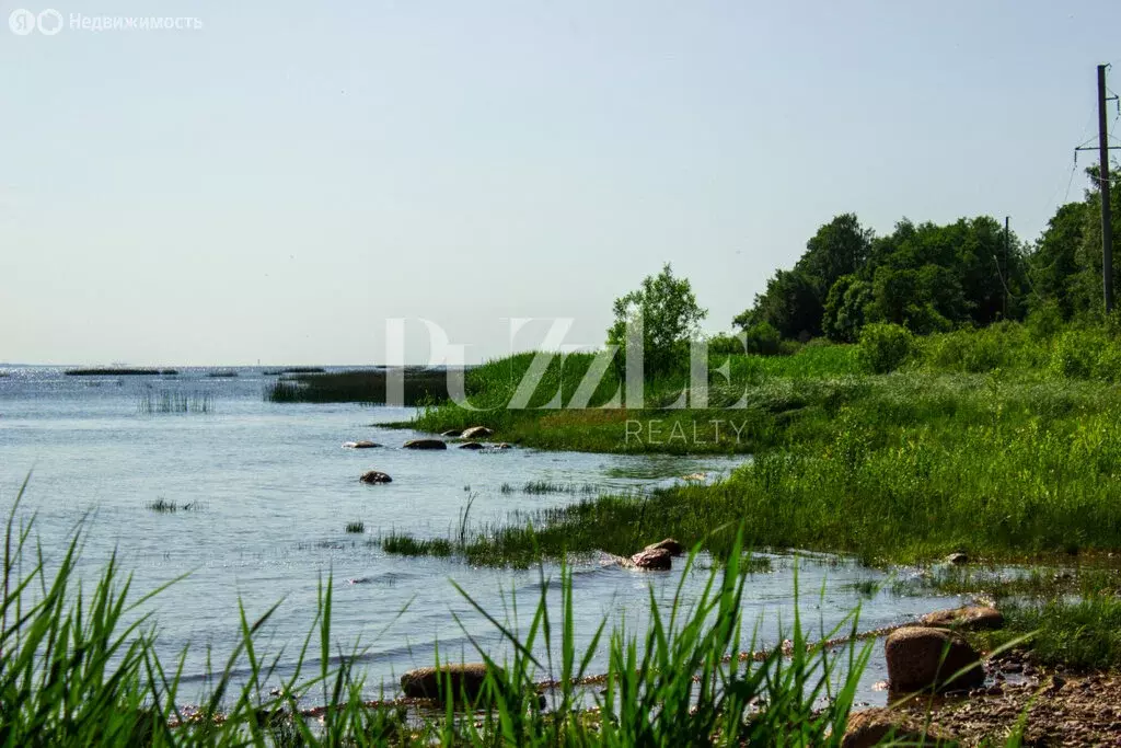 Участок в Санкт-Петербург, Соловьиная улица (24 м) - Фото 0