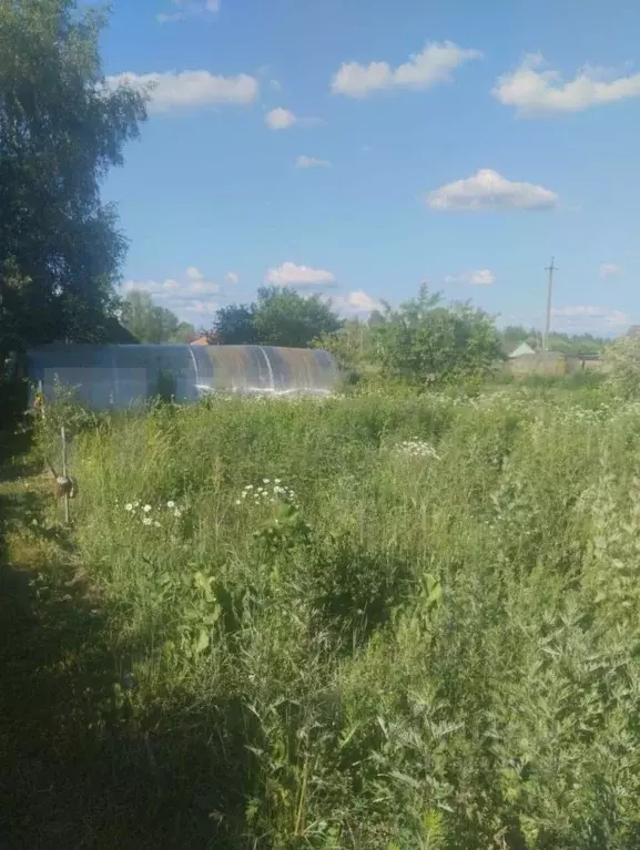 Участок в Новгородская область, Новгородский район, Бронницкое с/пос, ... - Фото 1