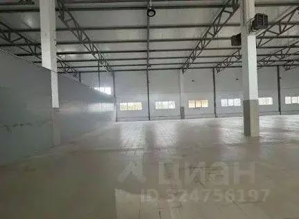 Склад в Ленинградская область, Отрадное Кировский район, Ленинградское ... - Фото 1