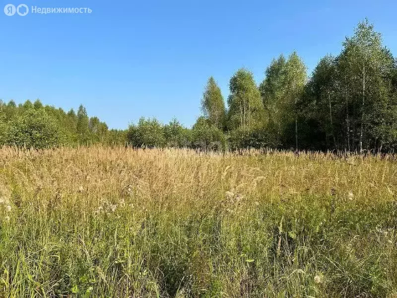 участок в московская область, городской округ серпухов, деревня . - Фото 0