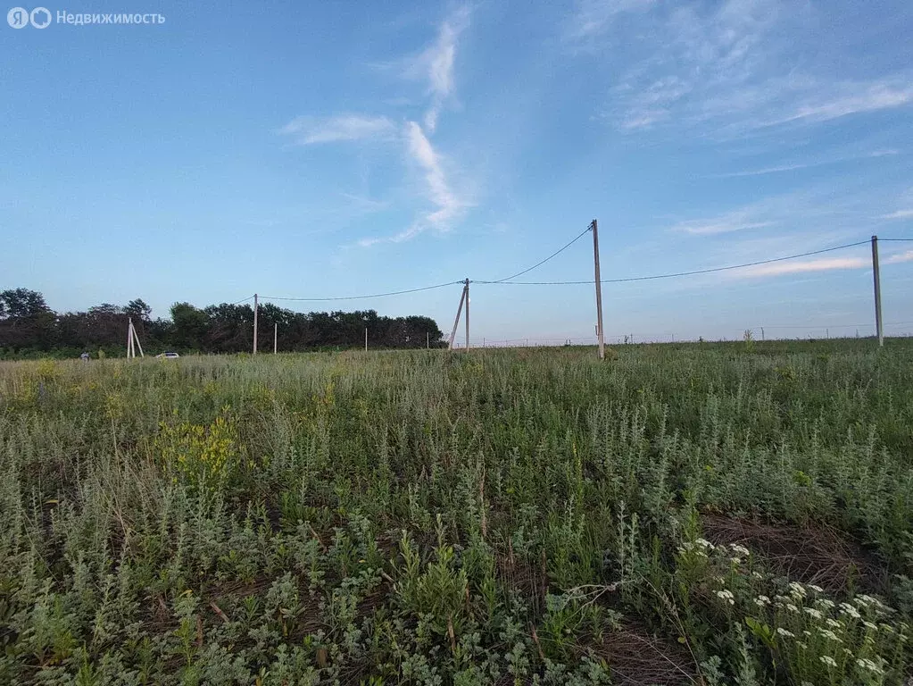Участок в Семилукский район, село Девица (18 м) - Фото 2