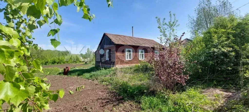 Дом в Алтайский край, Первомайский район, пос. Покровка ул. ... - Фото 1