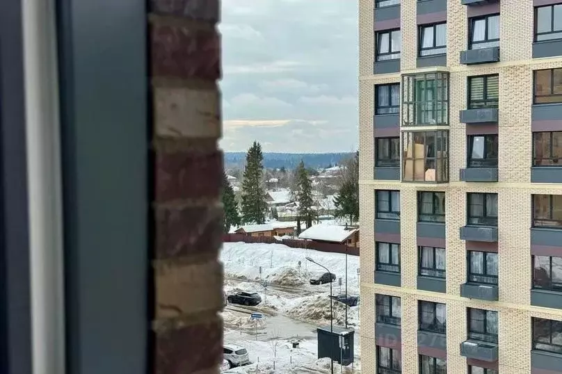 1-к кв. Московская область, Одинцовский городской округ, с. Лайково, ... - Фото 2