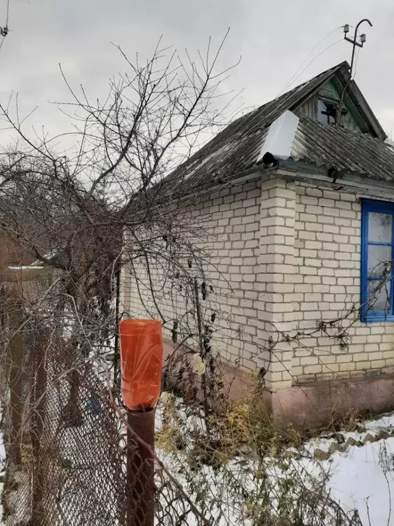 Дом в Белгородская область, Белгородский район, Беломестненское с/пос, ... - Фото 1