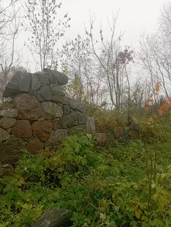 Участок в Калининградская область, Гурьевский муниципальный округ, ... - Фото 2