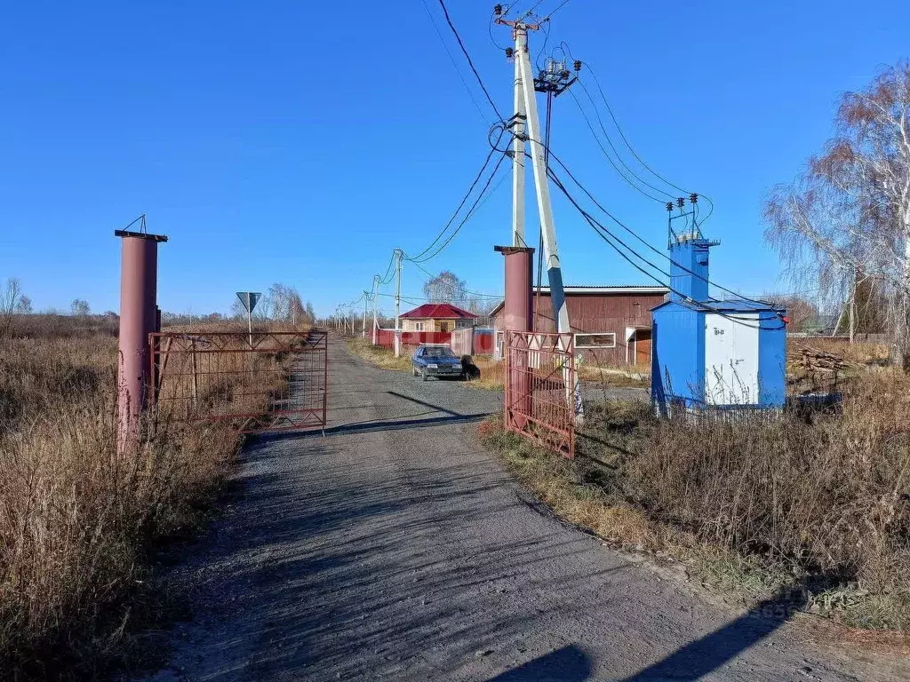Участок в Тюменская область, Тюмень Поле Чудес-2 садовое товарищество, ... - Фото 0