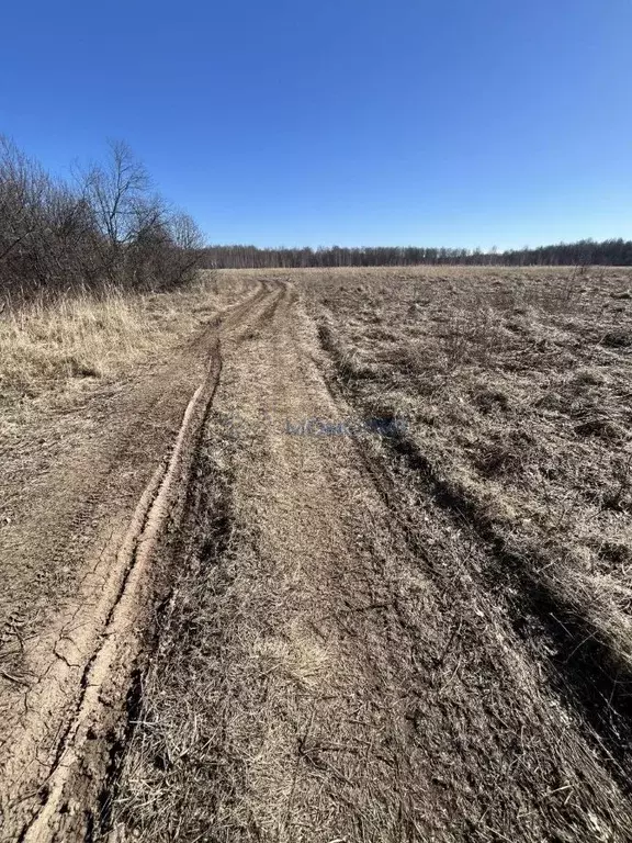 Участок в Нижегородская область, Нижний Новгород с. Вередеево,  ... - Фото 2