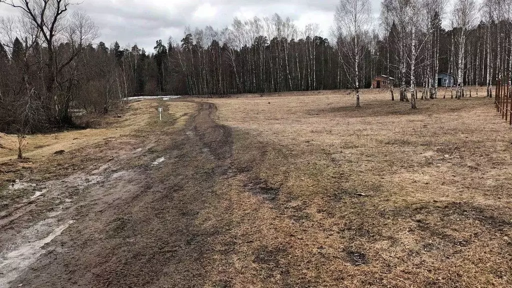 Участок в Московская область, Лосино-Петровский городской округ, д. ... - Фото 0