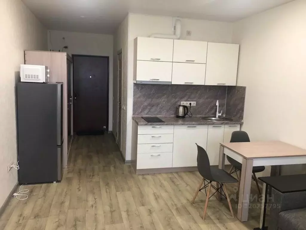 Студия Московская область, Домодедово городской округ, с. Домодедово ... - Фото 2