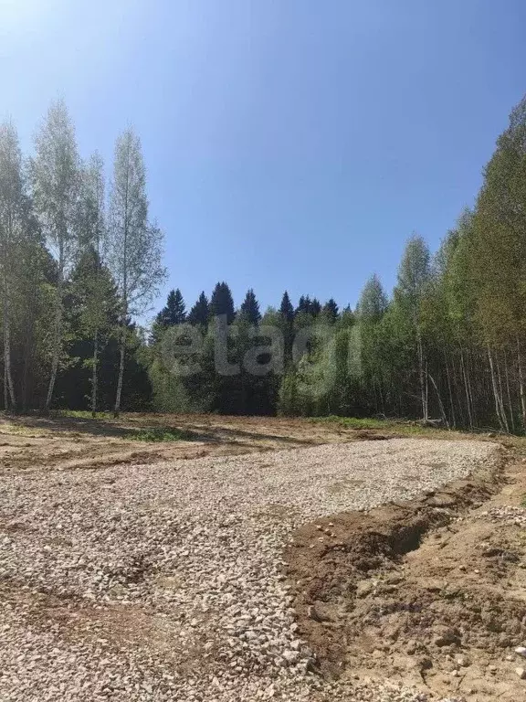 Участок в Пермский край, Добрянский муниципальный округ, д. Залесная ... - Фото 2