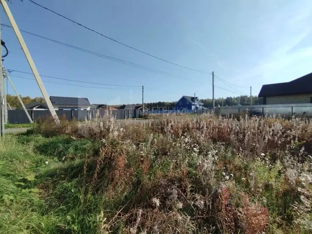 Участок в Тюменская область, Тюменский муниципальный округ, д. Ушакова ... - Фото 1