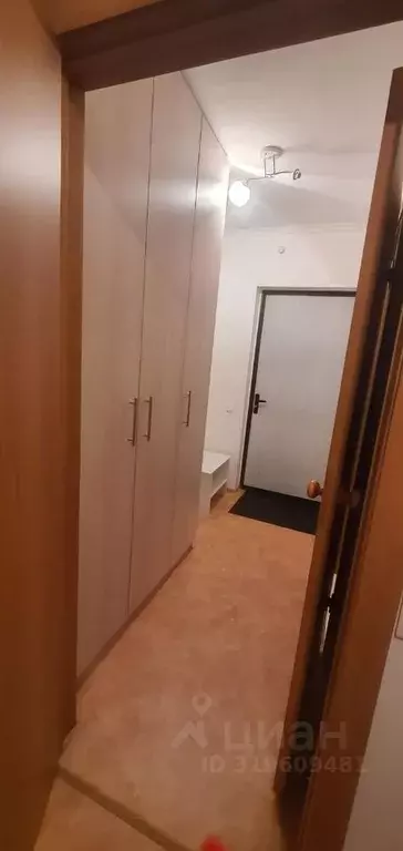 1-к кв. Красноярский край, Красноярск Лесопарковая ул., 25 (30.0 м) - Фото 1