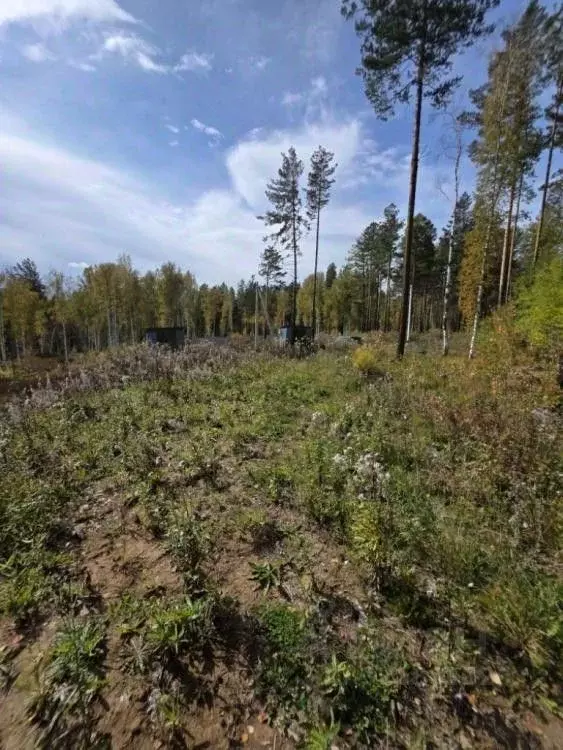 Участок в Иркутская область, Шелеховский район, Большелугское ... - Фото 2