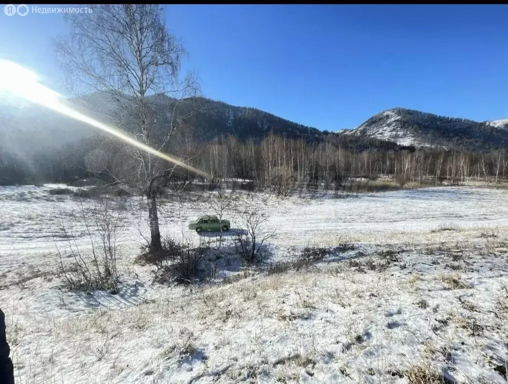 Участок в Шебалинский район, село Мыюта (13 м) - Фото 0