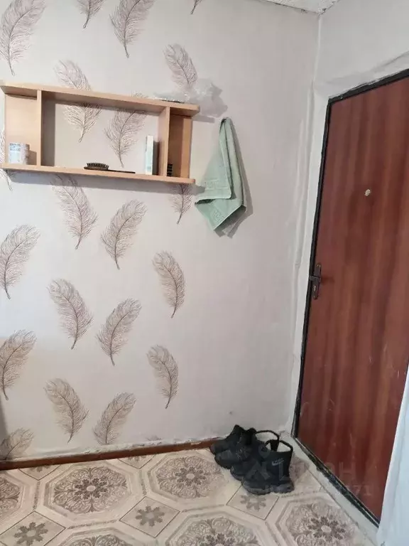 Комната Омская область, Омск ул. Суровцева, 104 (11.5 м) - Фото 2