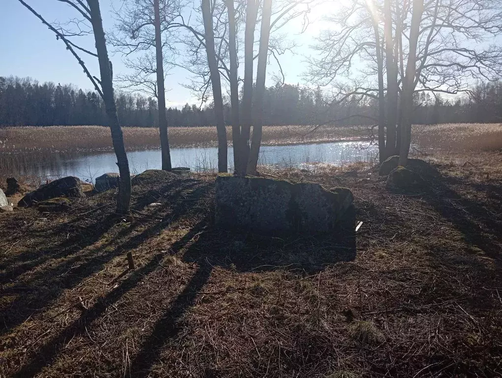Участок в Ленинградская область, Приозерский район, Мельниковское ... - Фото 1