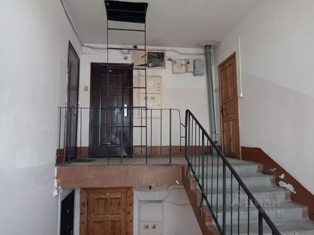 1-к кв. Ленинградская область, Приозерск ул. Чапаева, 34 (35.3 м) - Фото 2