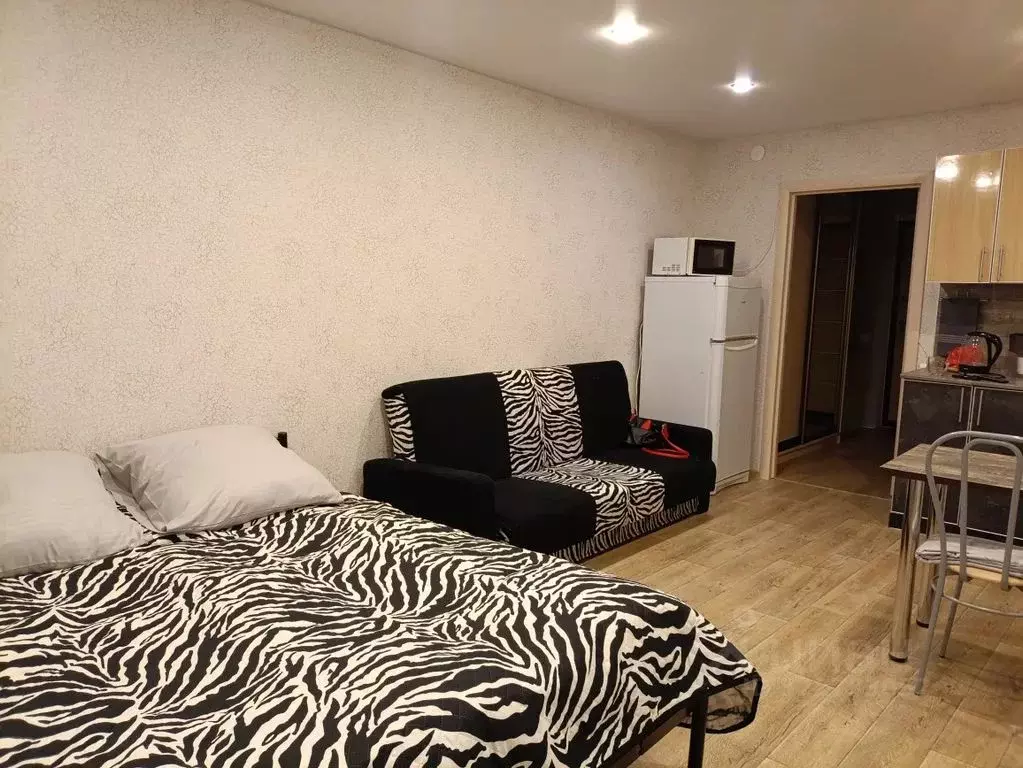 Студия Владимирская область, Владимир ул. Фейгина, 22 (30.0 м) - Фото 2