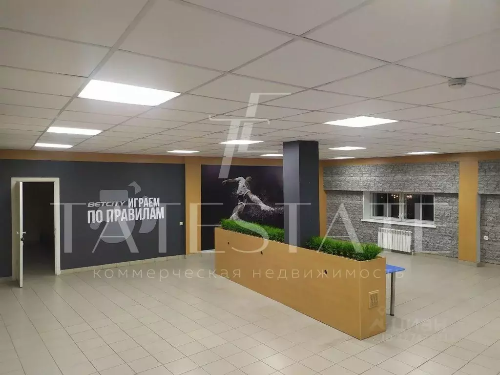 Помещение свободного назначения в Татарстан, Казань Московская ул., ... - Фото 1