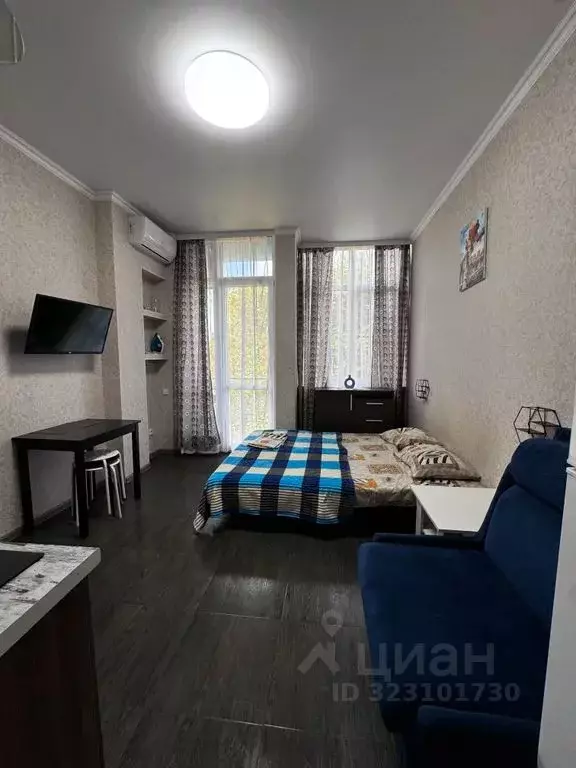 Студия Краснодарский край, Сочи ул. Просвещения, 118/1 (26.0 м) - Фото 2