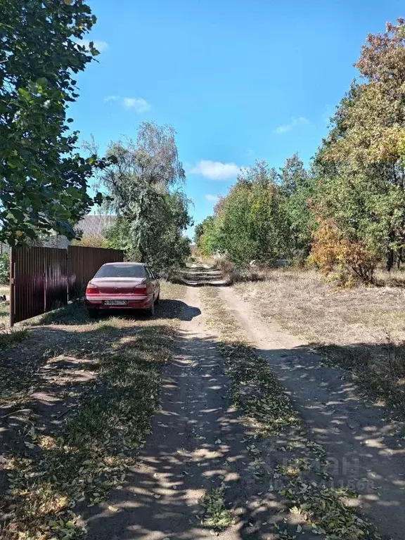 Участок в Ростовская область, Миллеровское городское поселение, ... - Фото 2