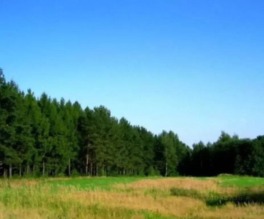 Участок в Тульская область, Дубенский район, Воскресенское с/пос, д. ... - Фото 2