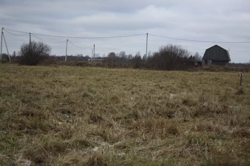 Участок в Новгородская область, Новгородский район, Бронницкое с/пос, ... - Фото 1