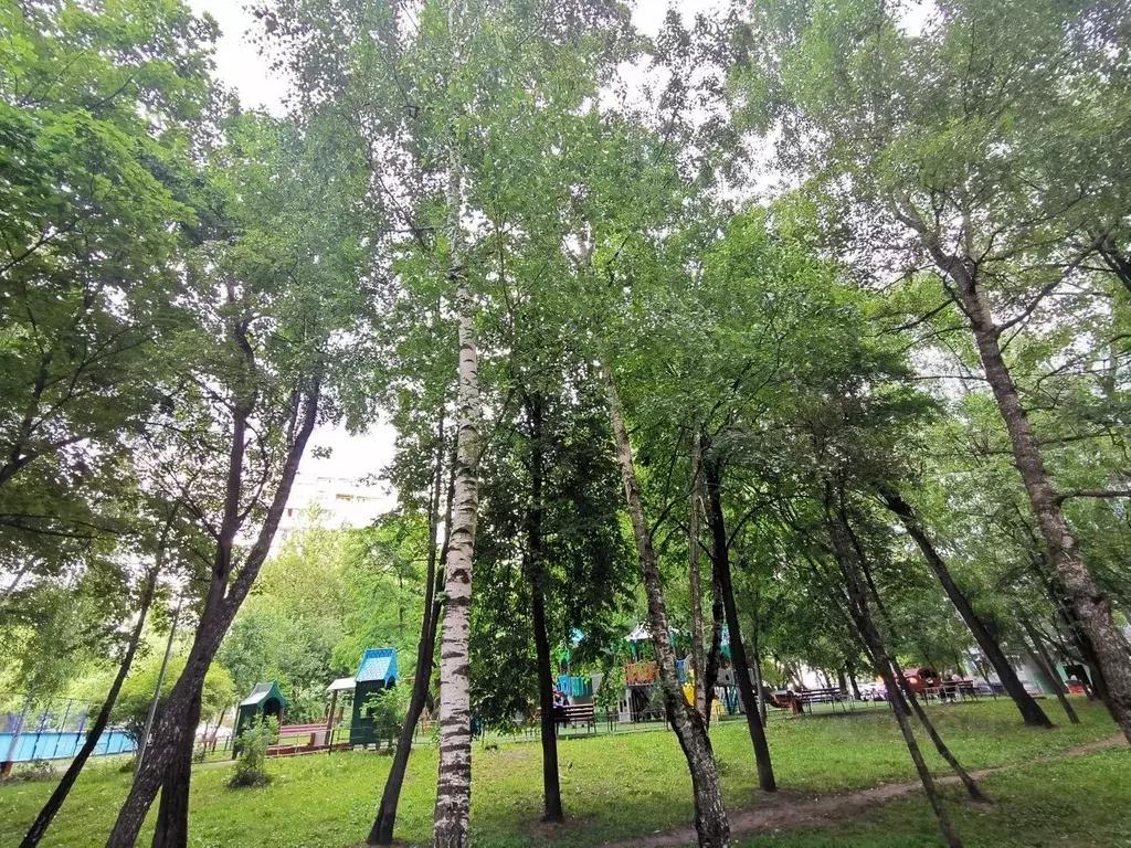 1-к кв. Москва Бирюлевская ул., 47К1 (38.0 м) - Фото 2