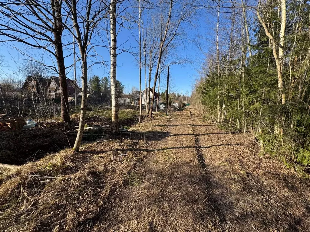 Участок в Ленинградская область, Гатчинский муниципальный округ, ... - Фото 1