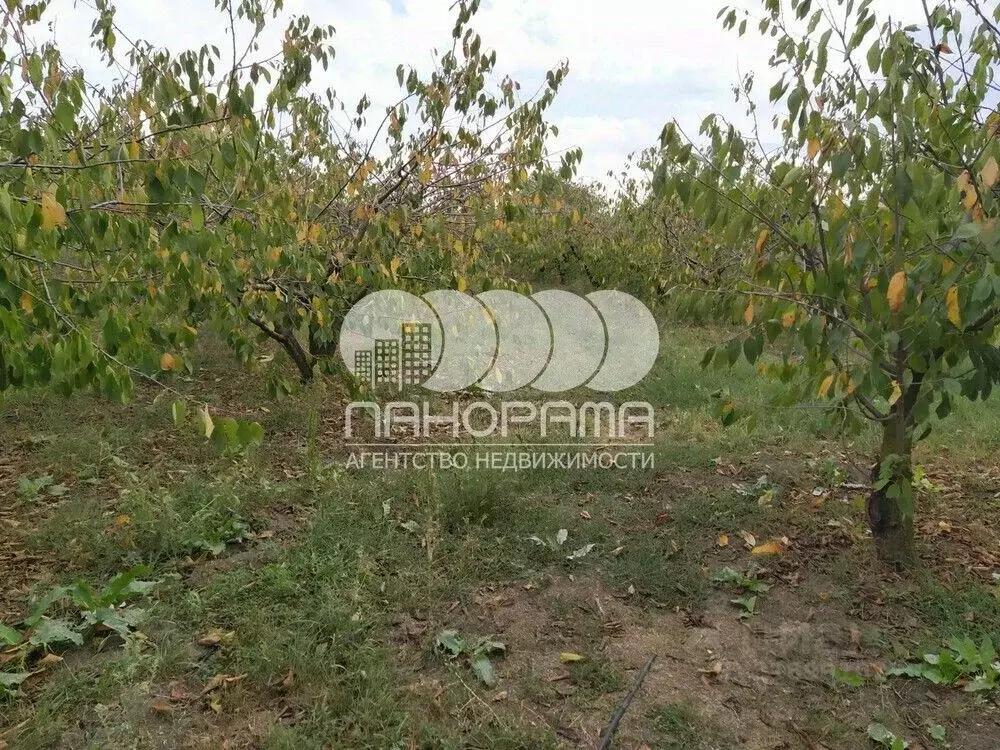 Участок в Краснодарский край, Анапа муниципальный округ, Нижняя ... - Фото 0