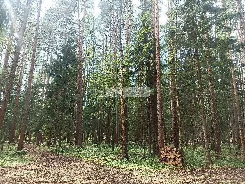 Участок в Московская область, городской округ Клин, территория ... - Фото 2