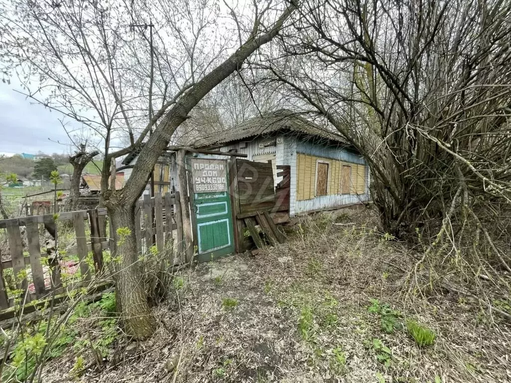 Дом в Балашов, Затонская улица, 39 (48 м) - Фото 1