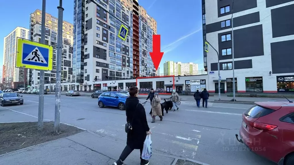 Помещение свободного назначения в Ленинградская область, Кудрово г. ... - Фото 1