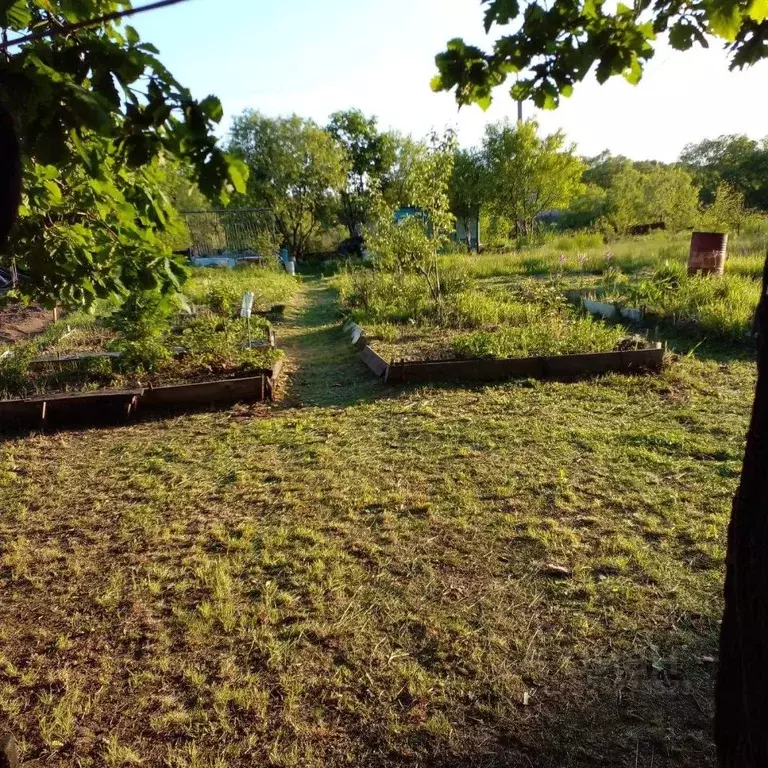 Участок в Еврейская автономная область, Смидовичский район, Победа СНТ ... - Фото 2
