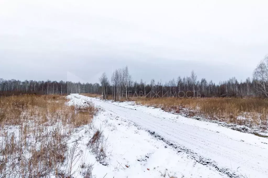 Участок в Тюменская область, Нижнетавдинский район, Лесная сказка СНТ  ... - Фото 0