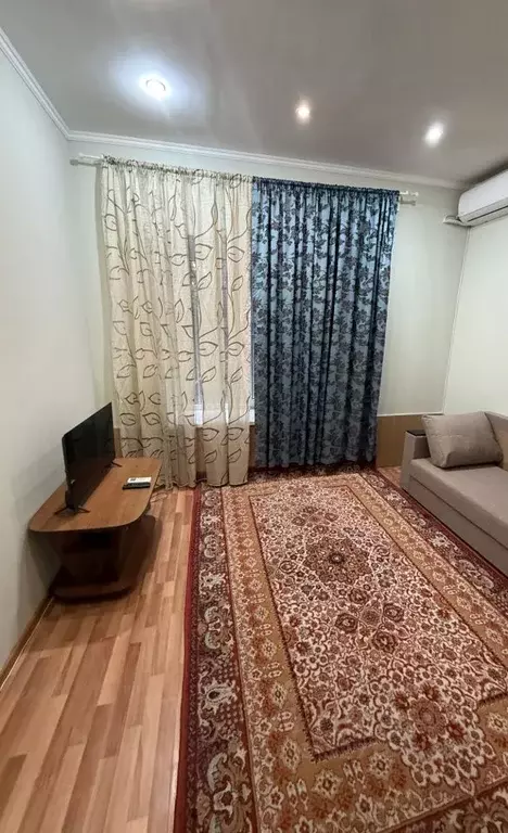 1-к кв. Краснодарский край, Сочи городской округ, Дагомыс пгт ул. ... - Фото 2