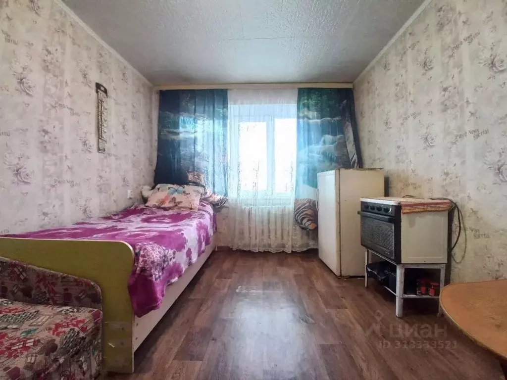 Студия Приморский край, Артем ул. Фрунзе, 54 (16.7 м) - Фото 0